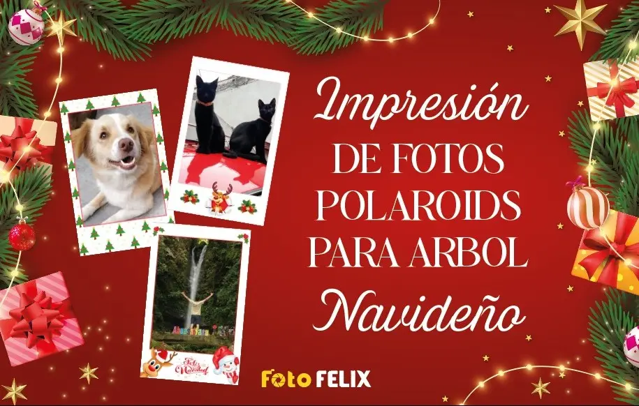 Fotos polaroid para arbol de navidad
