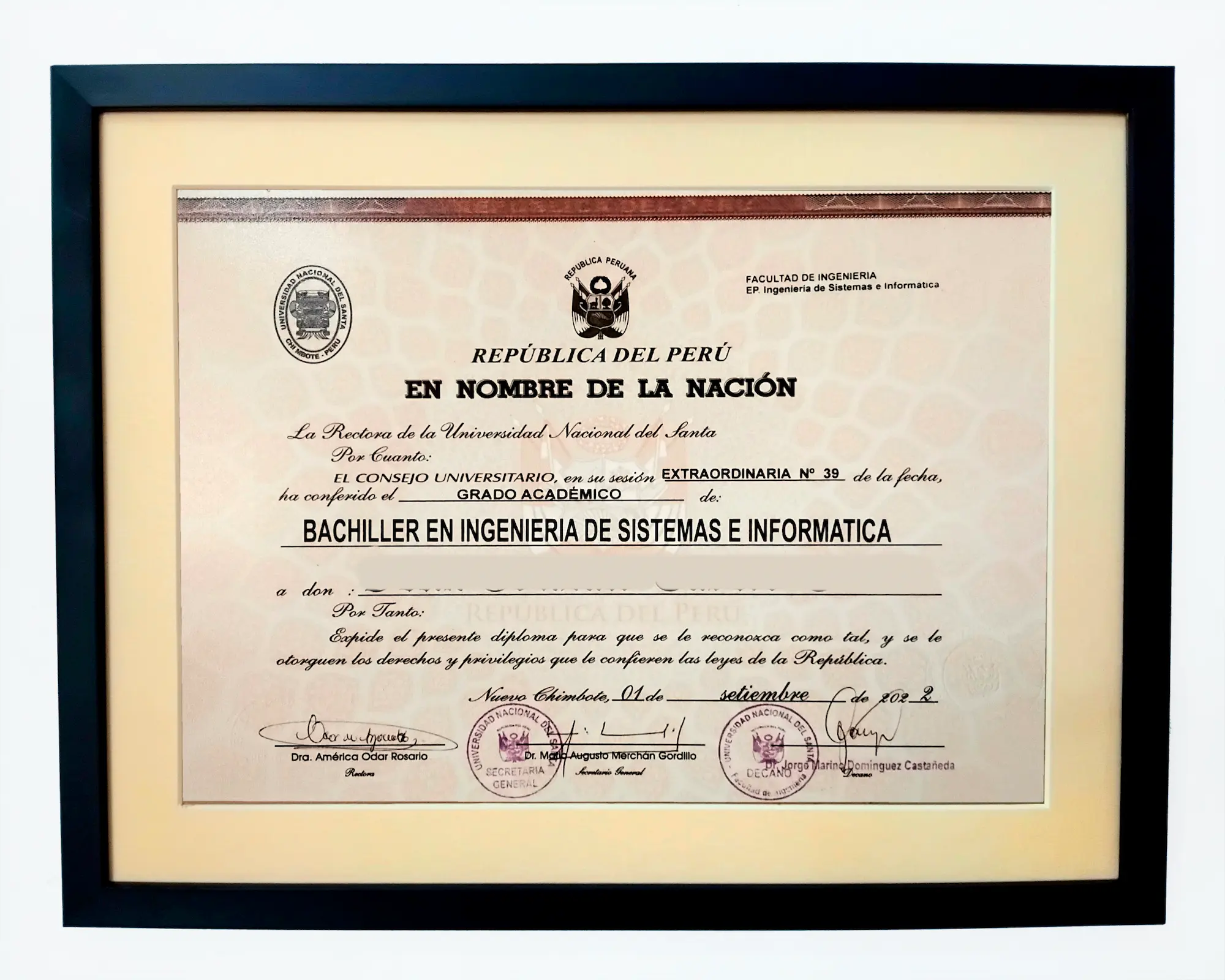 Modelo 2 de cuadro con paspartu para titulo profesional