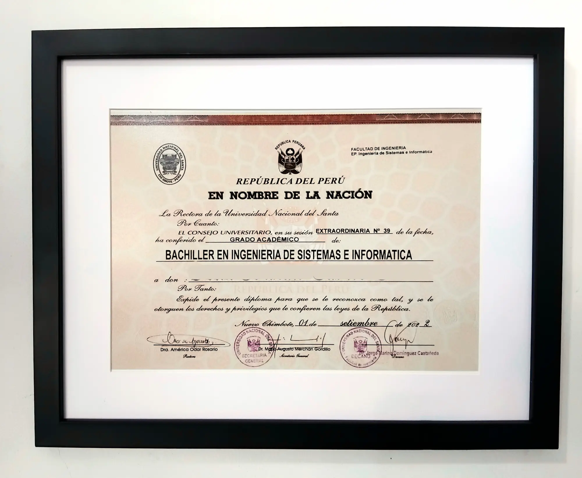 Modelo 3 de cuadro con paspartu para titulo profesional